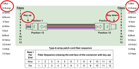 CAN network uses terminated twisted pair cabling and nodes are tap-connected